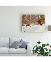 Monte Nagler Horse in the Snow Milford Michigan Canvas Art - 20" x 25"