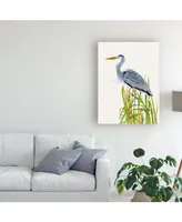 Naomi Mccavitt Water Birds and Cattails Ii Canvas Art - 15" x 20"