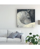 Albena Hristova Bijou Horse Canvas Art - 36.5" x 48"