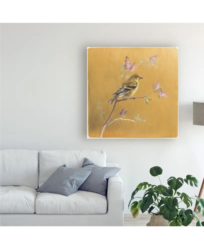 Danhui Nai Female Goldfinch on Gold Canvas Art - 15.5" x 21"