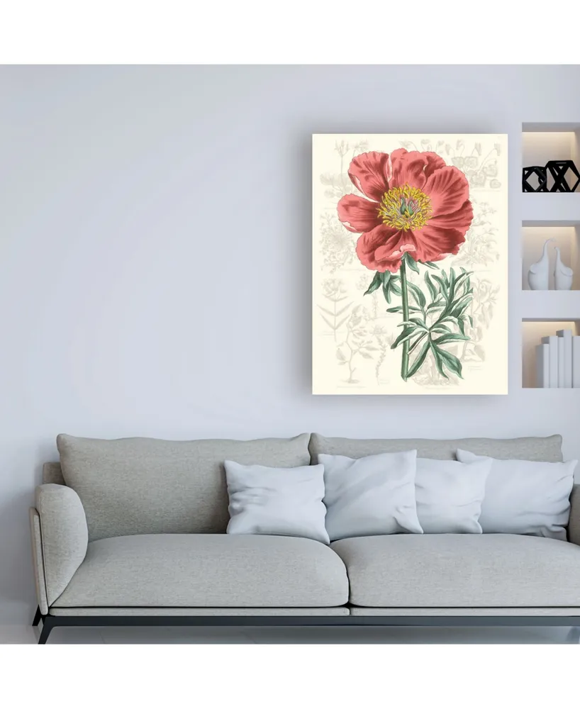 Vision Studio Peony Flower Garden Iv Canvas Art
