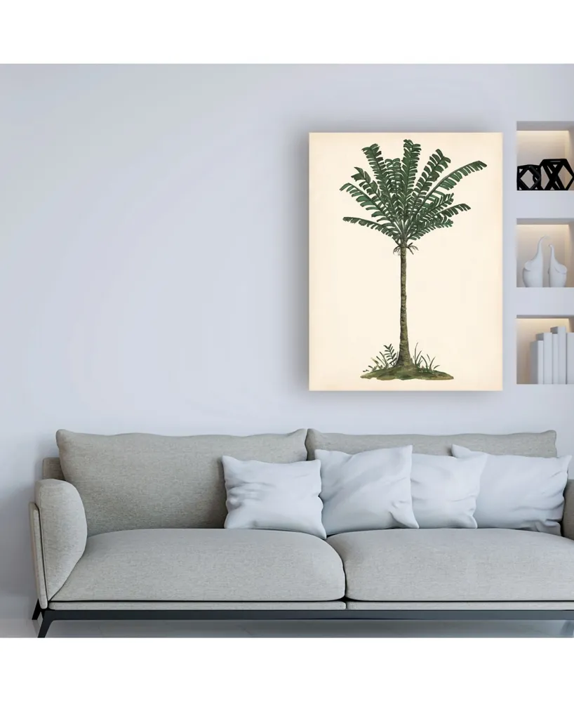 Melissa Wang Palm Tree Study Iv Canvas Art