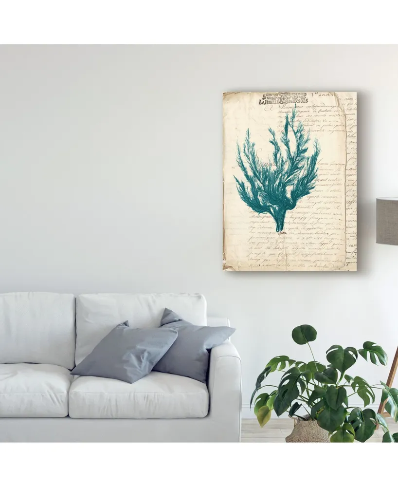 Vision Studio Vintage Teal Seaweed V Canvas Art