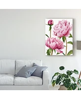 Grace Popp Winsome Peonies I Canvas Art - 20" x 25"