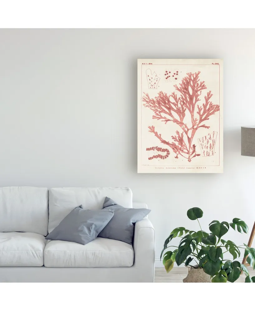 Vision Studio Antique Coral Seaweed I Canvas Art