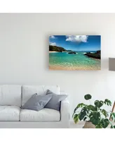 Danny Head Paradise Coastline Canvas Art - 20" x 25"