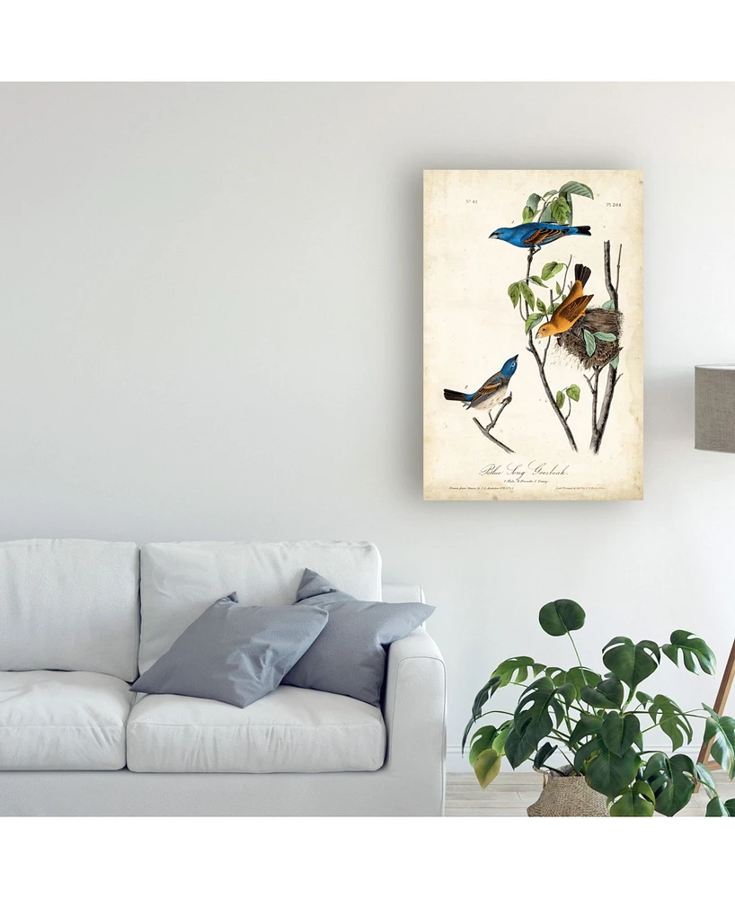 John James Audubon Blue Song Grosbeak Canvas Art