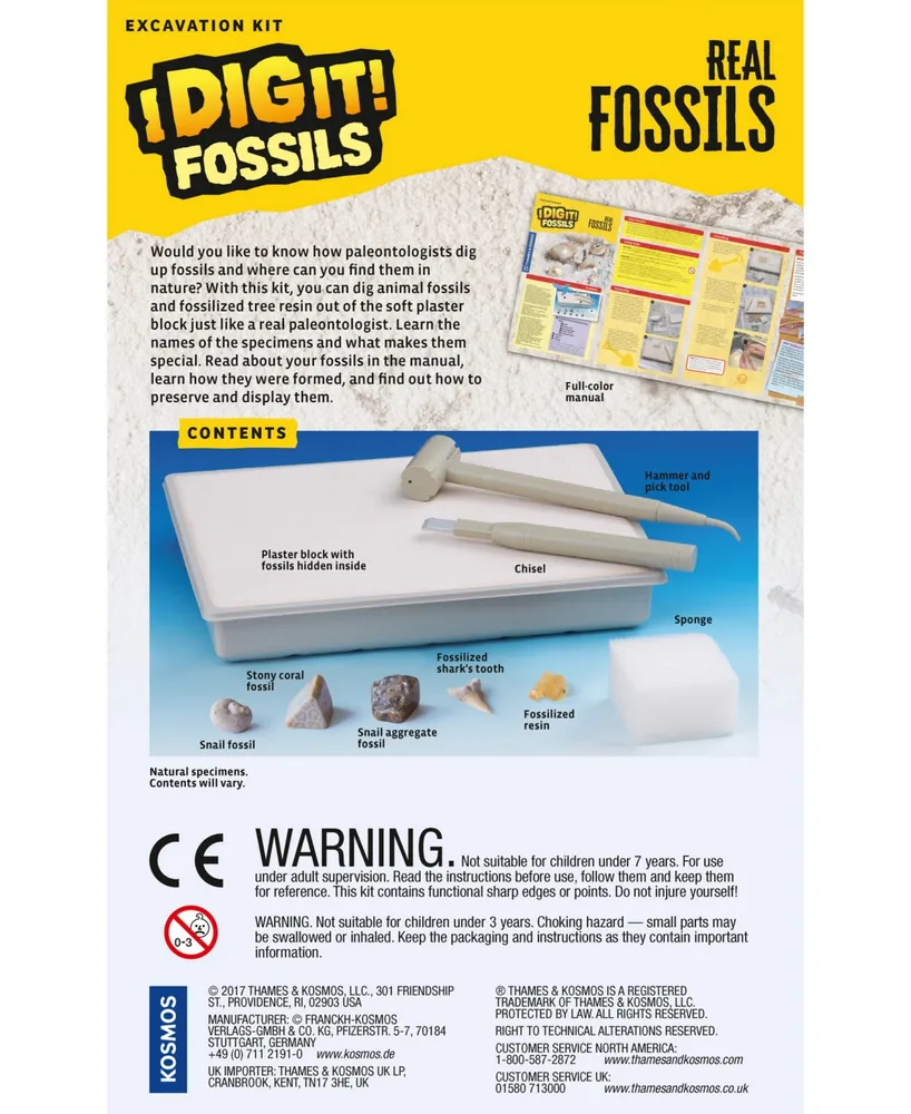 Thames & Kosmos I Dig It! Fossils - Real Fossils Excavation Kit