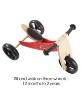 Lil' Rider 2-in-1 Wooden Balance Bike Push Tricycle