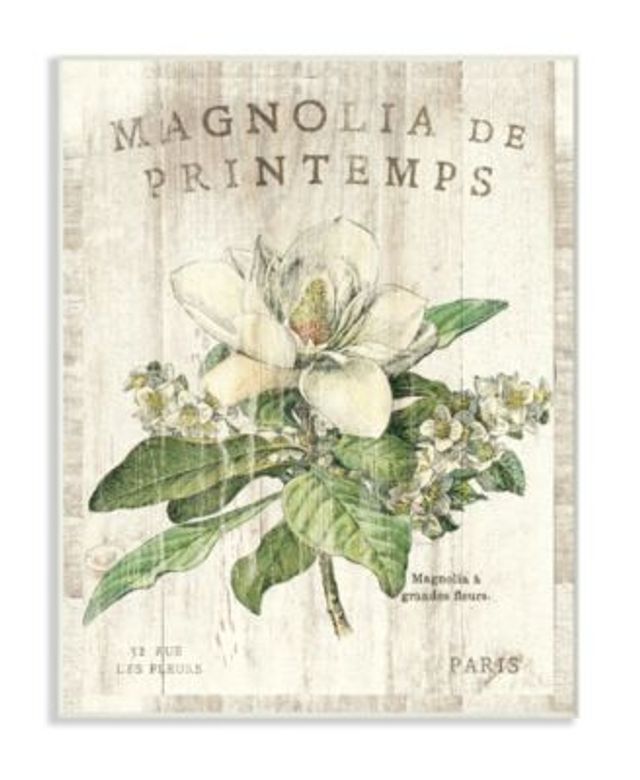 Stupell Industries French Magnolias In Spring Wall Art Collection