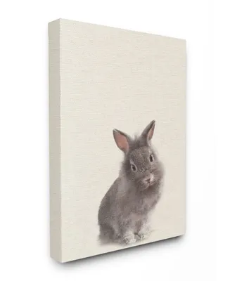 Stupell Industries Just A Cute Bunny Canvas Wall Art