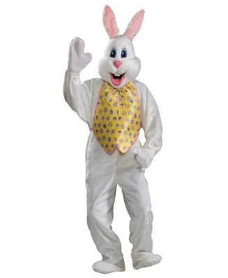 Buy Seasons Men's Professional Easter Bunny Costume