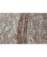 D Style Janis Jan1 Earth Area Rugs Collection