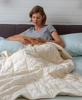Tranquility Plush 18lb Weighted Blanket