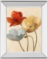 Classy Art Poppy Palette Il by Nan Mirror Framed Print Wall Art - 22" x 26"