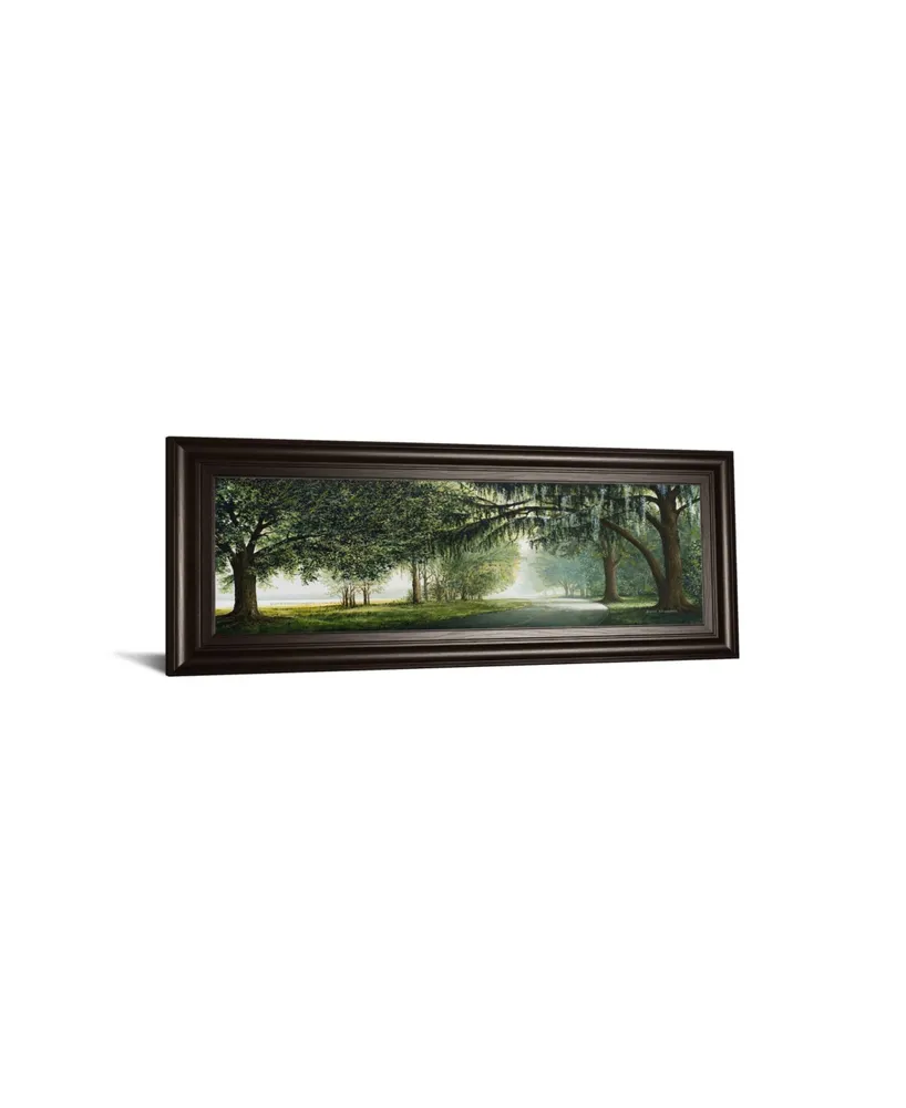 Classy Art Lake Shore Drive by Bruce Nawrocke Framed Print Wall Art - 18" x 42"
