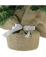 Northlight 24" Frosted Norway Pine with Pine Cones Artificial Christmas Tree in Burlap Base - Unlit