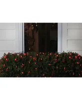 Northlight 4' x 6' Red Led Wide Angle Christmas Net Lights - Green Wire