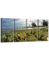 Ready2HangArt Conch Shells 4 Piece Wrapped Canvas Coastal Wall Art Set, 24" x 48"