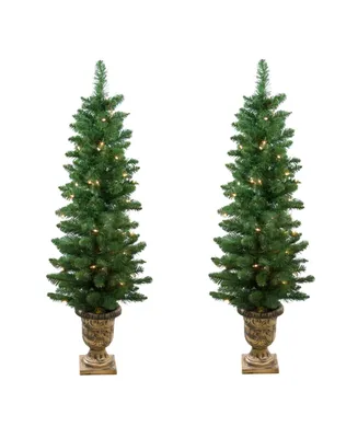 Northlight Set of 2 Pre-Lit Whitmire Pine Potted Artificial Christmas Trees 4' - Clear Lights