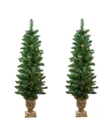 Northlight Set of 2 Pre-Lit Whitmire Pine Potted Artificial Christmas Trees 4' - Clear Lights