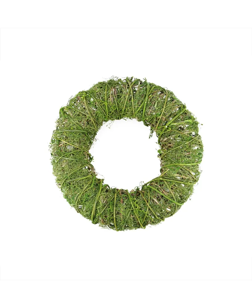 Northlight 12" Green Moss and Vine Artificial Spring Wreath