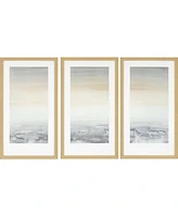 Paragon Sable Island Framed Wall Art Set of 3, 32" x 18"