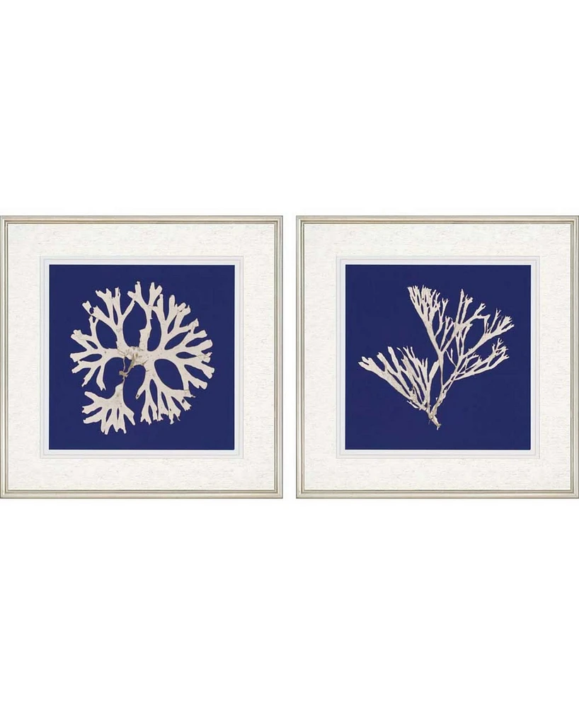 Paragon Seaweed on Navy I Framed Wall Art Set of 2, 27" x 27"