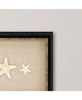 Paragon Knobby Starfish Framed Wall Art, 12" x 31"