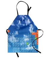 Ambesonne Science Apron