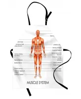 Ambesonne Human Anatomy Apron