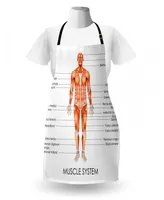 Ambesonne Human Anatomy Apron