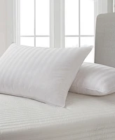 Blue Ridge Siberian White Down 500 Thread Count Cotton Damask Pillow