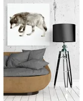 Giant Art 20" x 20" Wolf Museum Mounted Canvas Print