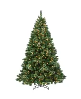 National Tree Company 7.5 ft. Hamburg Pine Tree with Clear Lights