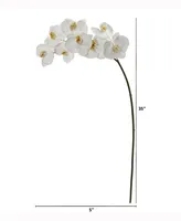 Nearly Natural 35in. Phalaenopsis Orchid Artificial Flower Set of 6