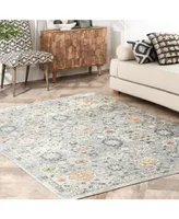 nuLoom Laziza Fiona Floral Distressed Silver 6'7" x 9' Area Rug