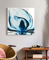 Empire Art Direct Blue Magnolia x-ray Frameless Free Floating Tempered Glass Panel Graphic Wall Art, 24" x 24" x 0.2"