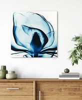 Empire Art Direct Blue Magnolia x-ray Frameless Free Floating Tempered Glass Panel Graphic Wall Art, 24" x 24" x 0.2"
