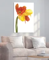 Empire Art Direct Orange Yellow Parrot Tulip on White Frameless Free Floating Tempered Glass Panel Graphic Wall Art, 48" x 32" x 0.2"