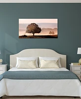 Empire Art Direct Plain View Frameless Free Floating Tempered Art Glass Wall Art by Ead Art Coop, 24" x 48" x 0.2"