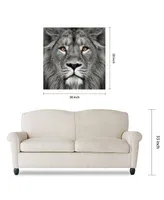 Empire Art Direct King of the Jungle Lion Eye of the Tiger Frameless Free Floating Tempered Glass Panel Graphic Wall Art, 38" x 38" x 0.2"