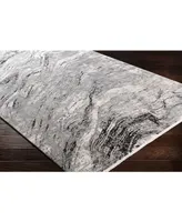 Surya Solar Sor-2309 Charcoal 3' x 8' Runner Area Rug