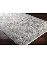 Surya Solar Sor 2313 Gray Area Rug