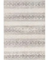 Surya Chester Che Silver Area Rug