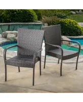 Noble House Malone Outdoor Dining Chairs, Set of 2