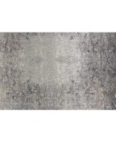 Feizy Sarrant R3964 Brown 2'8" x 8' Runner Rug