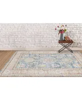 Amer Rugs Century Cen-15 Navy/ Pink 5'3" x 7'3" Area Rug