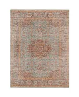 Closeout Amer Rugs Eternal Ete 30 Mint Rug