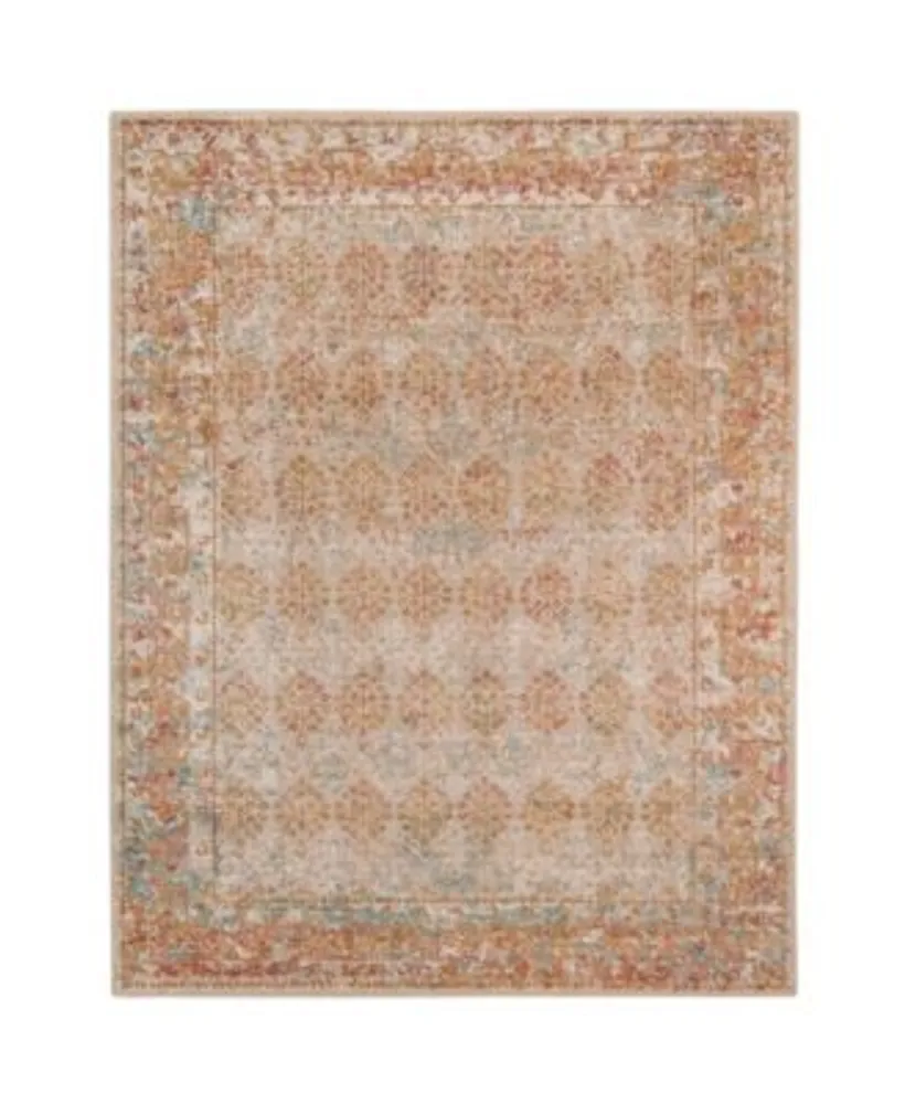 Amer Rugs Eternal Ete 16 Beige Rust Rug